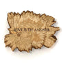 Palo Santo Star: Love is the Answer