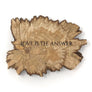 Palo Santo Star: Love is the Answer